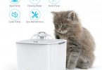 Fontaine à eau pour chat