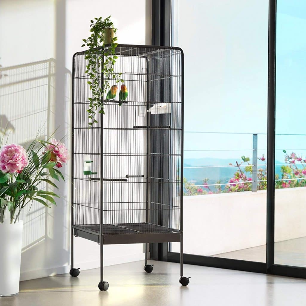 cage à oiseau sur pieds